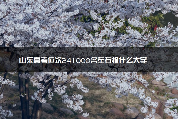 山东高考位次241000名左右报什么大学好（2025年参考）