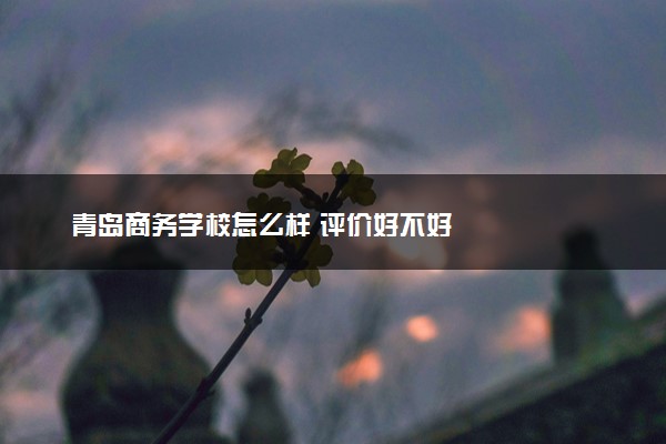 青岛商务学校怎么样 评价好不好