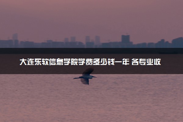 大连东软信息学院学费多少钱一年 各专业收费标准（2025年参考）
