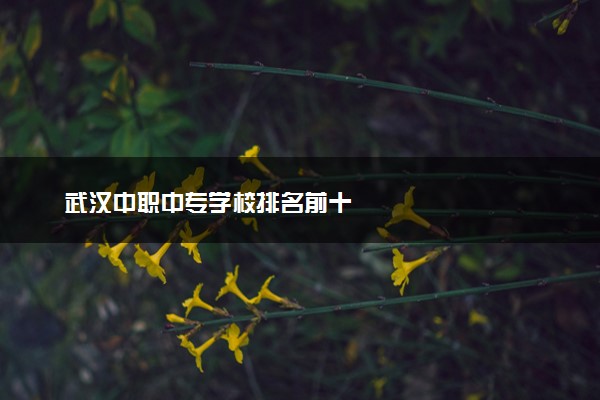 武汉中职中专学校排名前十