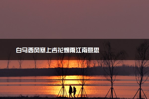 白马西风塞上杏花烟雨江南意思