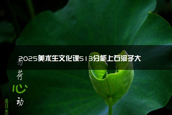 2025美术生文化课513分能上石河子大学吗