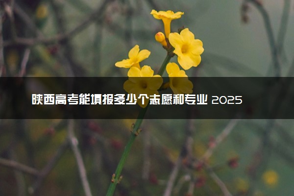 陕西高考能填报多少个志愿和专业 2025本专科志愿设置