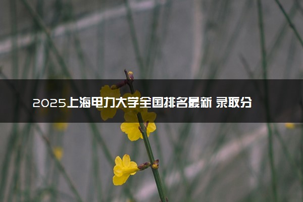 2025上海电力大学全国排名最新 录取分数线是多少