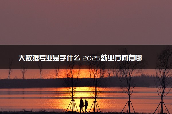 大数据专业是学什么 2025就业方向有哪些