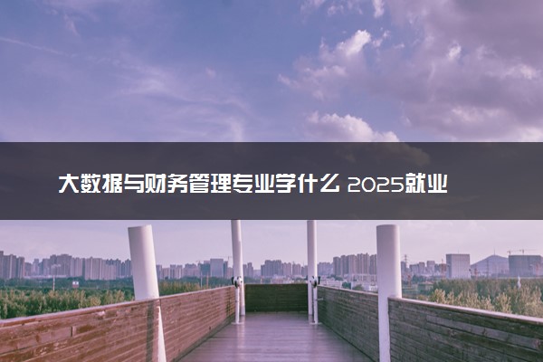 大数据与财务管理专业学什么 2025就业方向有哪些