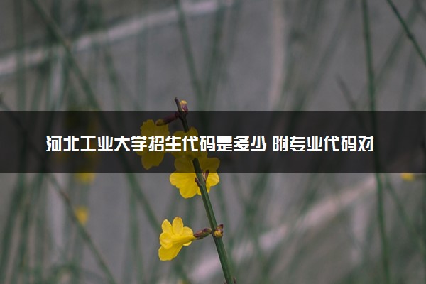 河北工业大学招生代码是多少 附专业代码对照表（2025参考）