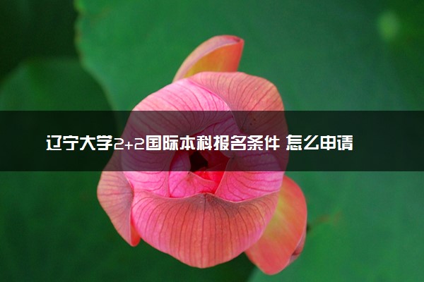 辽宁大学2+2国际本科报名条件 怎么申请