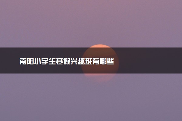 南阳小学生寒假兴趣班有哪些