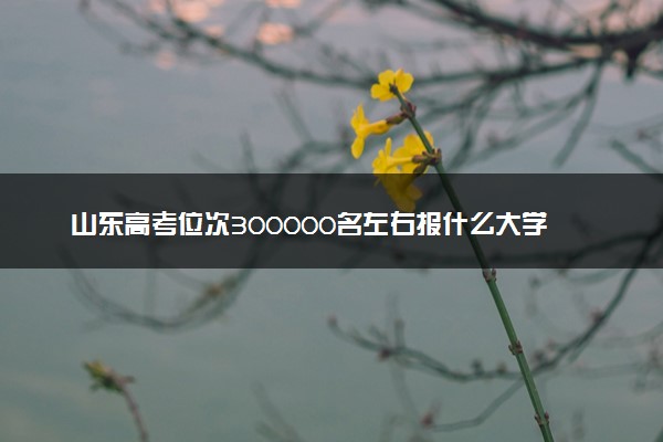 山东高考位次300000名左右报什么大学好（2025年参考）