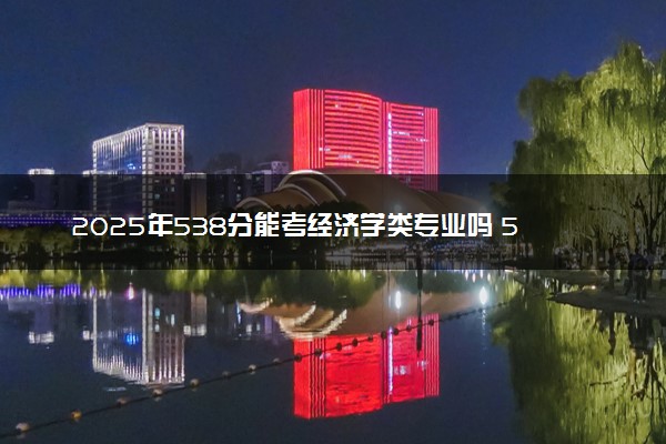 2025年538分能考经济学类专业吗 538分经济学类专业大学推荐