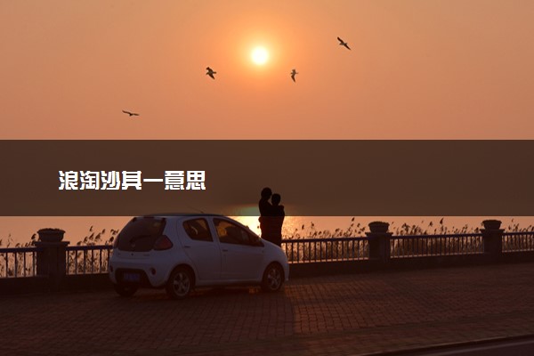 浪淘沙其一意思