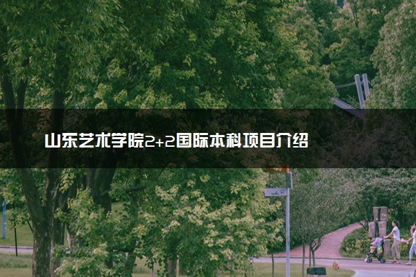 山东艺术学院2+2国际本科项目介绍