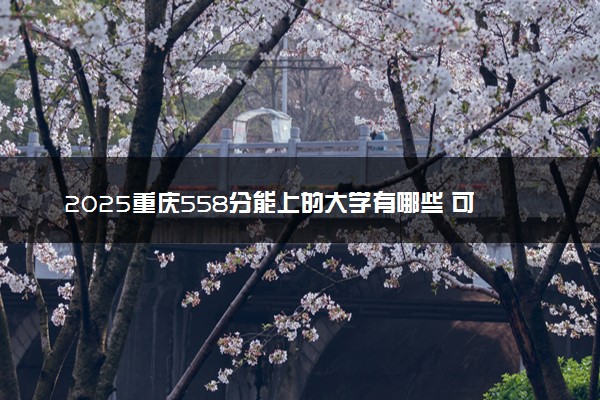 2025重庆558分能上的大学有哪些 可以报考院校名单