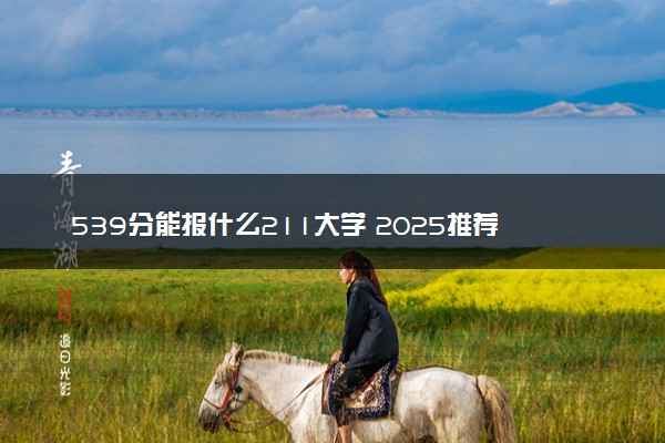 539分能报什么211大学 2025推荐院校