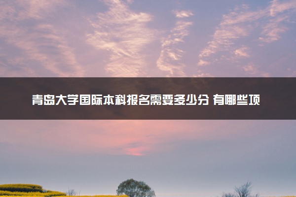 青岛大学国际本科报名需要多少分 有哪些项目