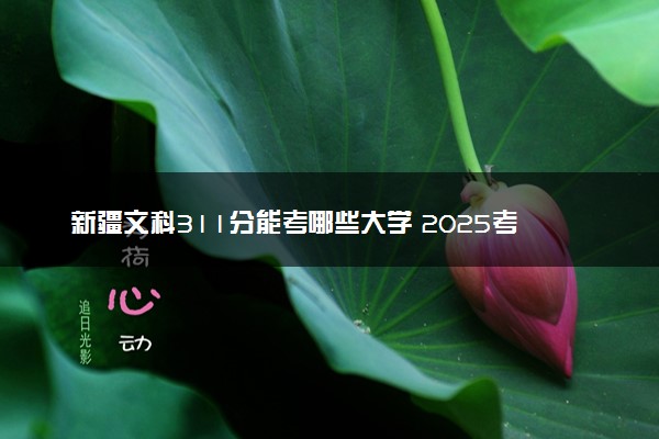 新疆文科311分能考哪些大学 2025考生稳上的大学名单