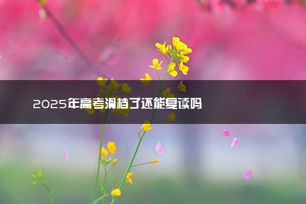 2025年高考滑档了还能复读吗