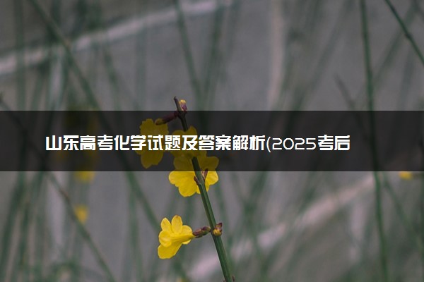 山东高考化学试题及答案解析（2025考后更新）
