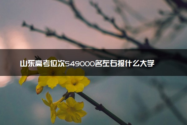 山东高考位次549000名左右报什么大学好（2025年参考）