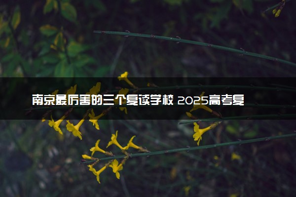 南京最厉害的三个复读学校 2025高考复读哪家强