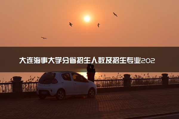 大连海事大学分省招生人数及招生专业2025年招生计划参考