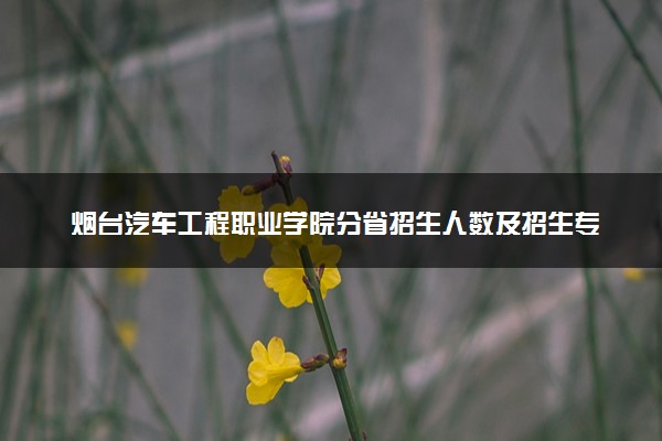 烟台汽车工程职业学院分省招生人数及招生专业2025年招生计划参考