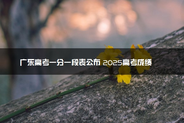 广东高考一分一段表公布 2025高考成绩位次排名查询