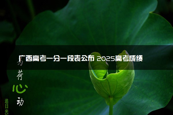 广西高考一分一段表公布 2025高考成绩位次排名查询