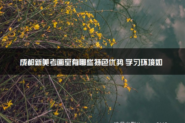 成都新美考画室有哪些特色优势 学习环境如何