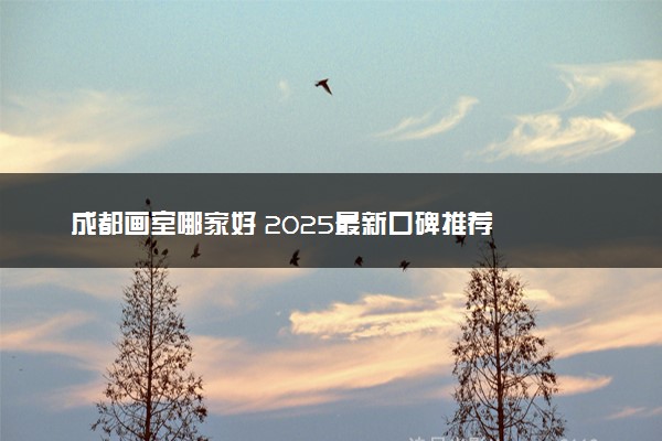 成都画室哪家好 2025最新口碑推荐