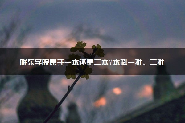 陇东学院属于一本还是二本？本科一批、二批的区别及报考建议