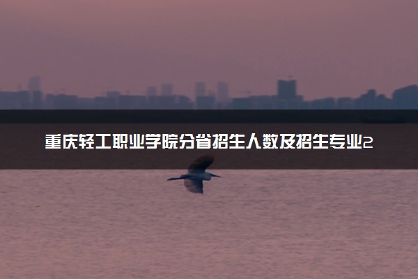 重庆轻工职业学院分省招生人数及招生专业2025年招生计划参考
