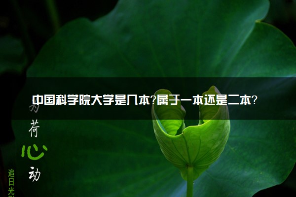 中国科学院大学是几本？属于一本还是二本？2025年分数线预测及报考建议