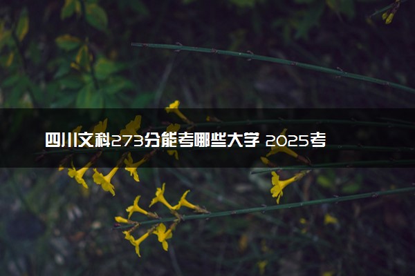 四川文科273分能考哪些大学 2025考生稳上的大学名单