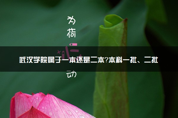 武汉学院属于一本还是二本？本科一批、二批的区别及报考建议