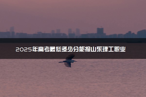 2025年高考最低多少分能报山东理工职业学院？附山东理工职业学院历年录取分数线及位次