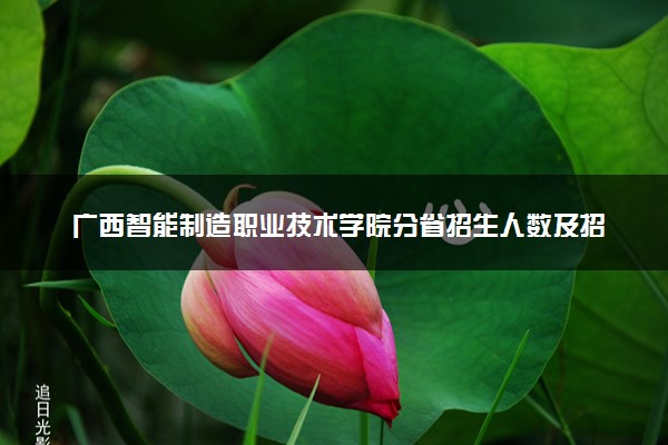 广西智能制造职业技术学院分省招生人数及招生专业2025年招生计划参考