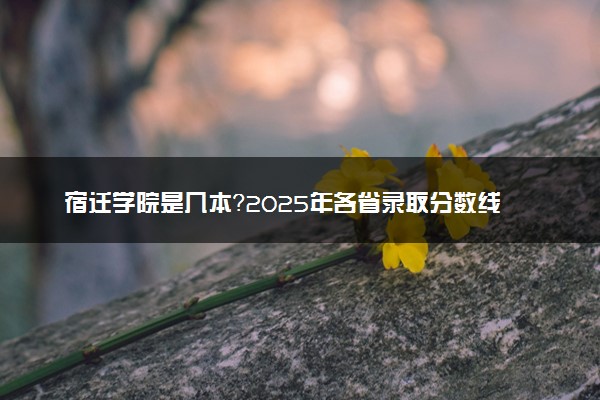 宿迁学院是几本？2025年各省录取分数线预测及报考建议