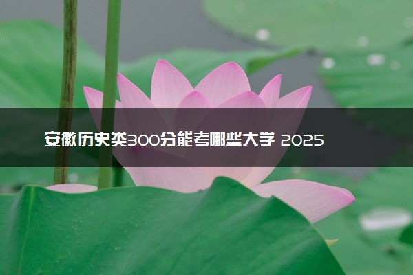 安徽历史类300分能考哪些大学 2025考生稳上的大学名单