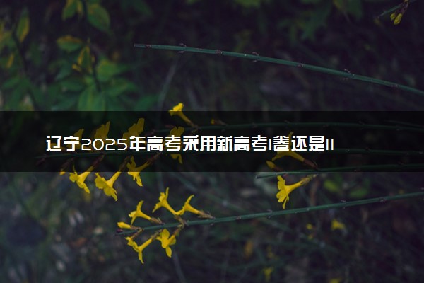辽宁2025年高考采用新高考I卷还是II卷 试卷难不难