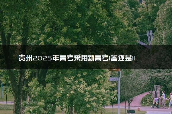 贵州2025年高考采用新高考I卷还是II卷 试卷难不难