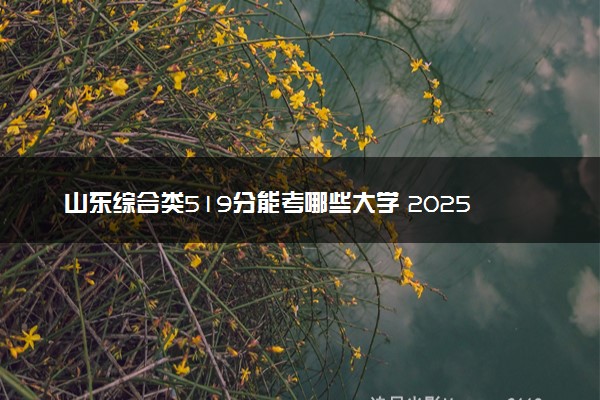 山东综合类519分能考哪些大学 2025考生稳上的大学名单