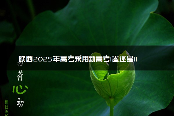 陕西2025年高考采用新高考I卷还是II卷 试卷难不难