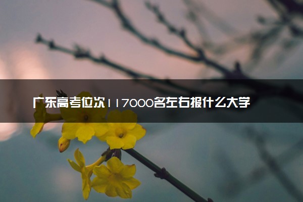 广东高考位次117000名左右报什么大学好（2025年参考）