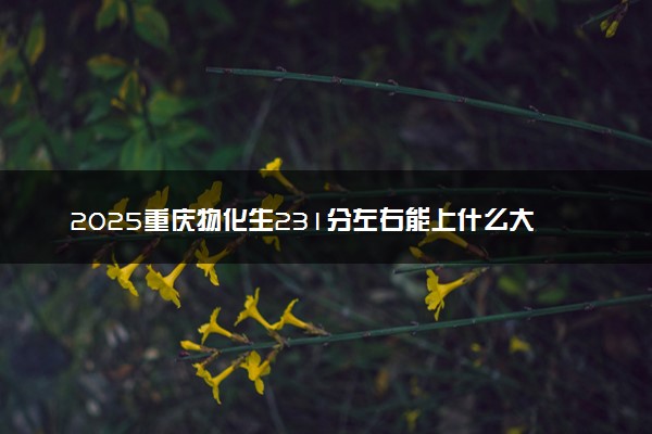 2025重庆物化生231分左右能上什么大学 可以报考的院校名单
