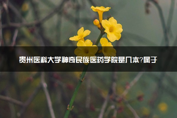 贵州医科大学神奇民族医药学院是几本？属于一本还是二本？2025年分数线预测及报考建议
