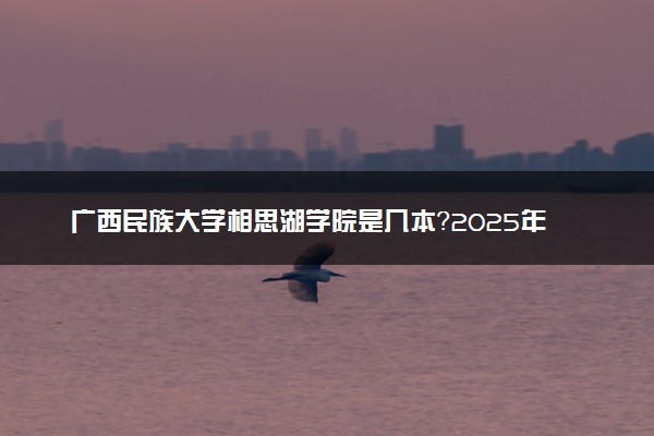 广西民族大学相思湖学院是几本？2025年各省录取分数线预测及报考建议