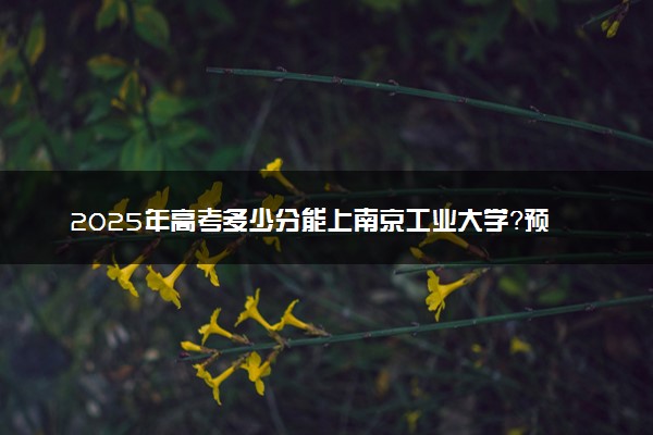 2025年高考多少分能上南京工业大学？预测各省份录取分数线（附2024年数据及报考指南）