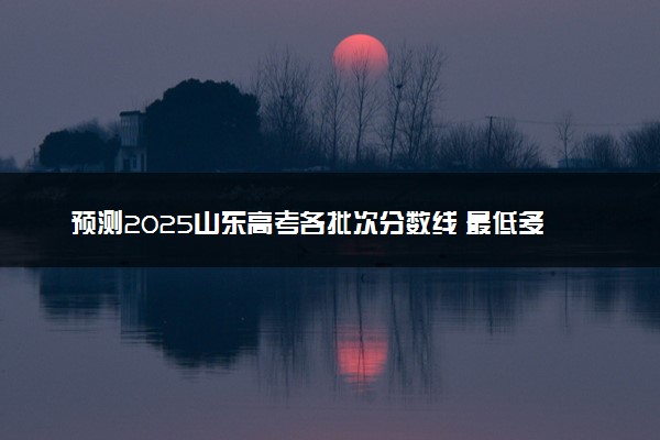 预测2025山东高考各批次分数线 最低多少分可以上大学